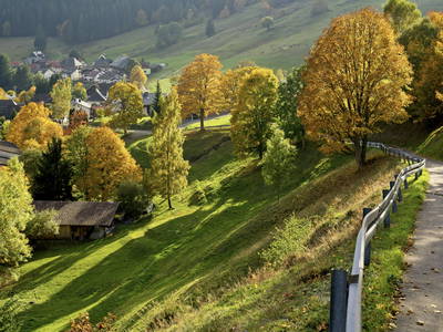 Muggenbrnn im Herbst