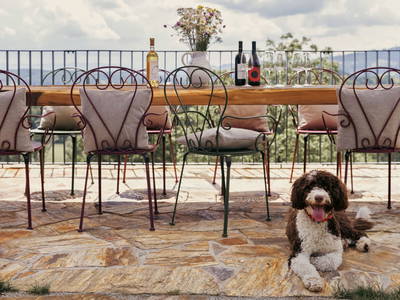 Bild 47 aus  Refugien Am WILDBACHBERG