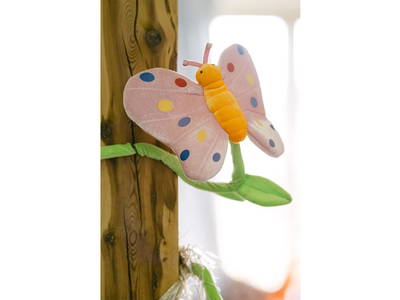 Bild 351 aus  Pimperlhof