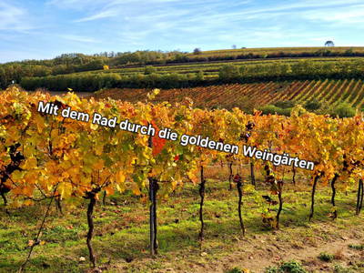 Bild 60 aus  Ferienhaus Weinviertel