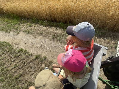 Bild 14 aus  Ferienhof Karin Schwarz