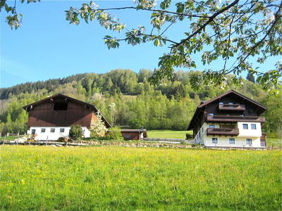 Bild 30 aus Wengerbauer