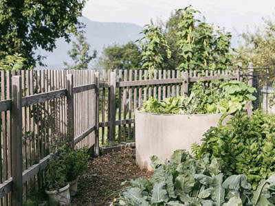 Bild 190 aus Bio- und Vitalbauernhof Bacherhof