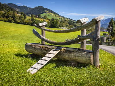 Bild 62 aus  Viehhofgut