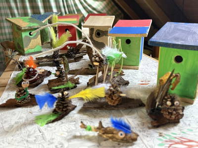 Bild 70 aus  Naturgartenurlaub - Steffis Ferienwohnungen