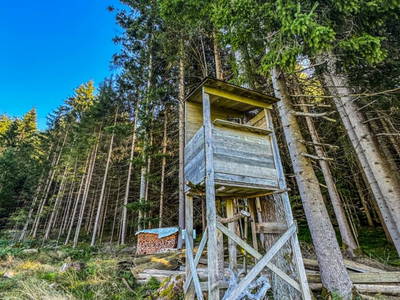 Bild 56 aus  Hochthron Suites