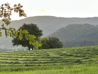 Bild 26 aus  Ferienhof Kirchbichl