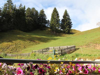 Bild 68 aus  Fergl's Hof