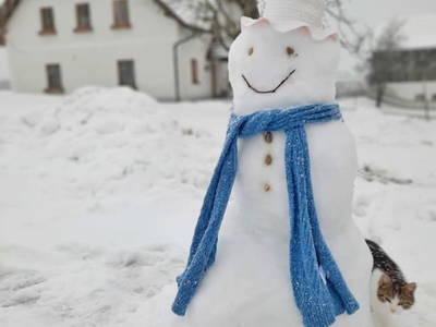 Bild 33 aus  Grainmeister