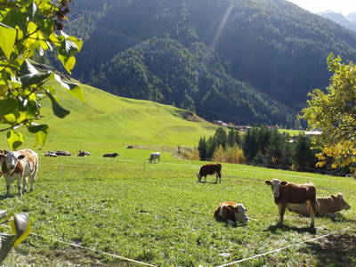 Bild 2 aus  Bergerhof