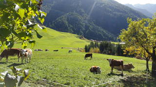 Bergerhof aus Kals am Großglockner