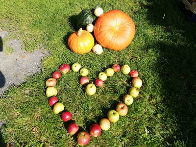 Bild 14 aus  Ferienwohnungen Bauernhof Bauerrupp