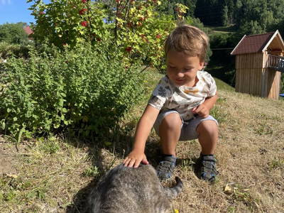 Bild 48 aus  Pirkerhof