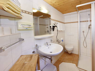 Bild 12 aus  Pferdehof Alpenrose 