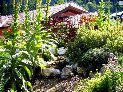 Bild 60 aus Archehof Eislbauer