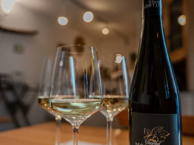 Bild 23 aus Winzerhof Mörtinger