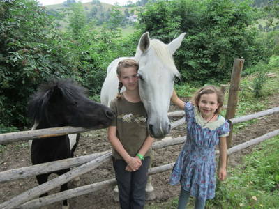 Bild 117 aus  Sank Haus - Alte Mühle
