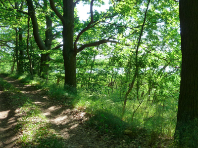 Bild 6 aus  Ferienhaus Melzow