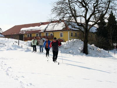 Bild 12 aus  Gestehof Hetzenberg