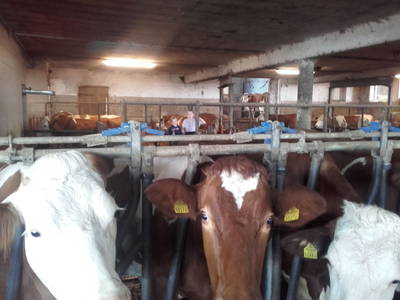 Bild 14 aus  Familie Resch am Hörlesberg