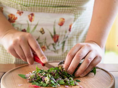 Bild 114 aus  Paulerhof