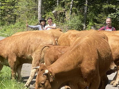 Bild 59 aus  Seewaldhof