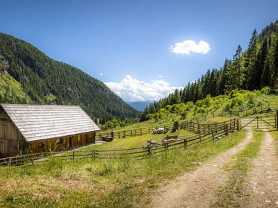 Bild 70 aus  Eseihütte