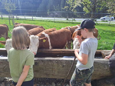 Bild 31 aus Vierthalerhof