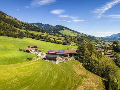 Bild 11 aus  Viehhofgut