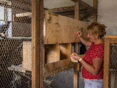 Bild 20 aus  Demobetrieb Bauernhof