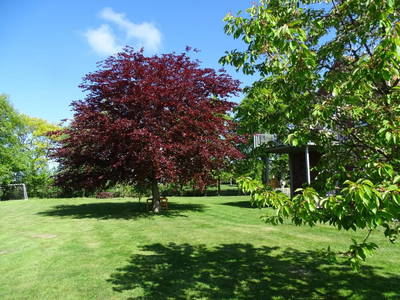 Bild 22 aus  Ferienhof Ostarle