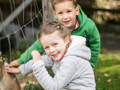 Bild 8 aus  Hof Heite