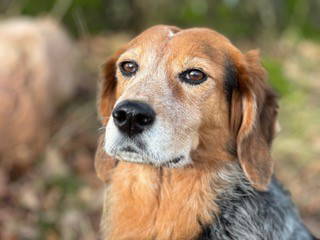 Bild 32 aus  Ferienwohnung Schöner Winkel