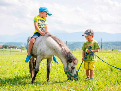 Bild 39 aus  Panoramahof
