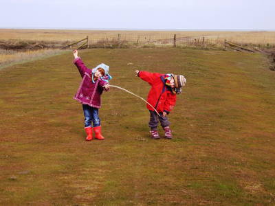 Bild 17 aus  Ferienhof Gertz