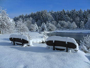 Bild 56 aus  Hotel Gasthof Sieberzmühle