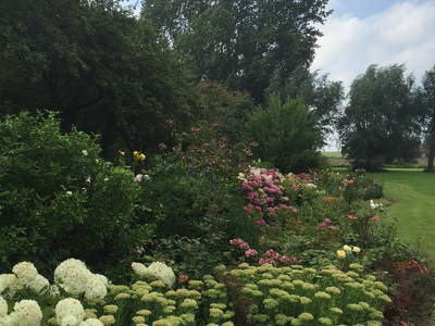 Bild 28 aus  LandSelection Ol' Backhus