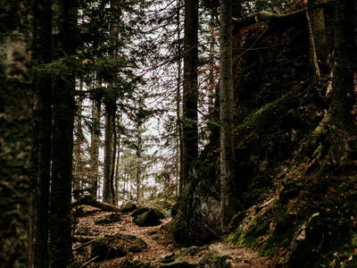 Bild 27 aus  Arber Lofts