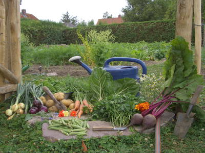 Bild 26 aus  Luftsnapper & Fellnasen