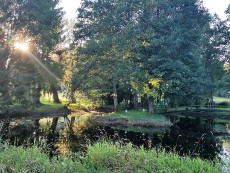 Bild 9 aus  Gut Rechetsberg