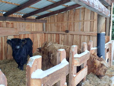 Bild 18 aus  Ferienhof Wegmann