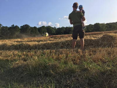 Bild 6 aus  Weihersmühle