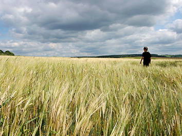 Bild 30 aus  Hof Kaltofen