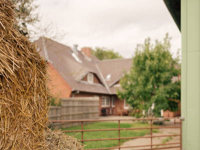 Bild 29 aus  "FEWO auf dem Lande" bei St. Peter Ording