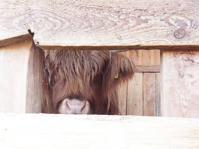 Bild 19 aus  Ferienhof Wegmann