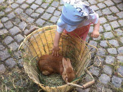 Bild 25 aus  Ferienhof Wilfert