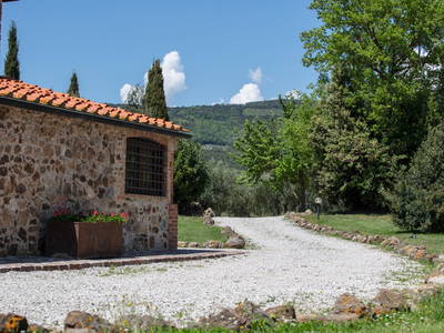 Bild 8 aus  Tenuta Il Cicalino