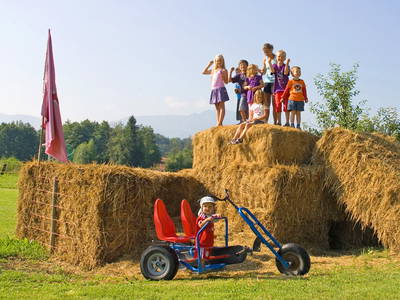 Bild 12 aus  Stefanutti Hof