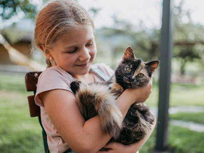 Bild 24 aus  Bauernhofurlaub  Sinnhubgut