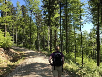 Bild 18 aus  Ferienhof Pauli